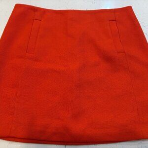 Banana Republic Mini Skirt
